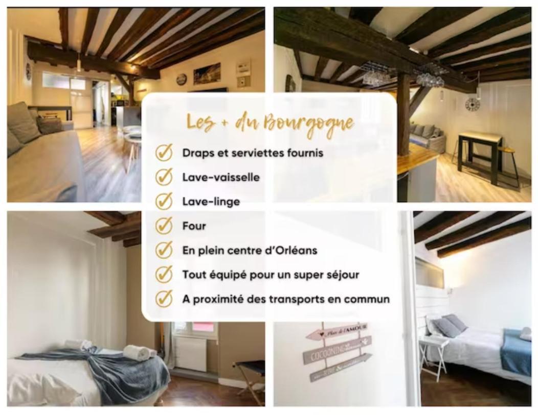 Le Bourgogne-Hypercentre Apartment Орлеан Екстериор снимка